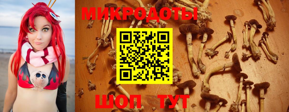 Галлюциногенные грибы ЛСД  Вход с VPN  Мурино  Галлюциногенные грибы Psilocybe 